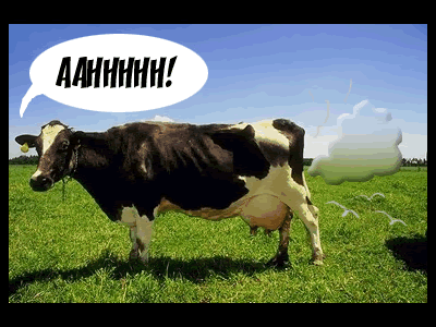 cow.GIF